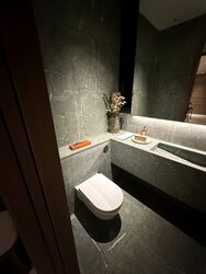 Upperhouse At Orchard Boulevard (D10), Apartment #520730561